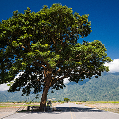 Taiwan
