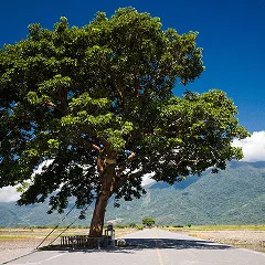 Taiwan